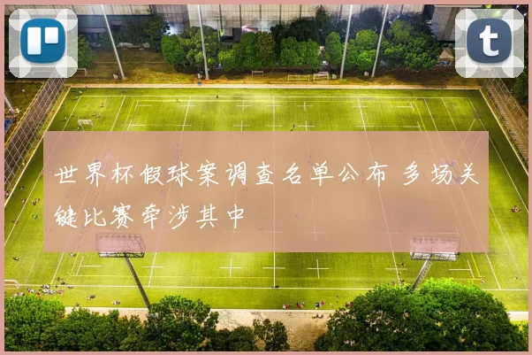 世界杯假球案调查名单公布 多场关键比赛牵涉其中