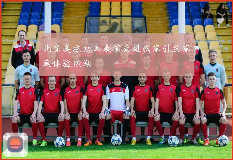 北京奥运功夫表演走进我家引发家庭体验热潮